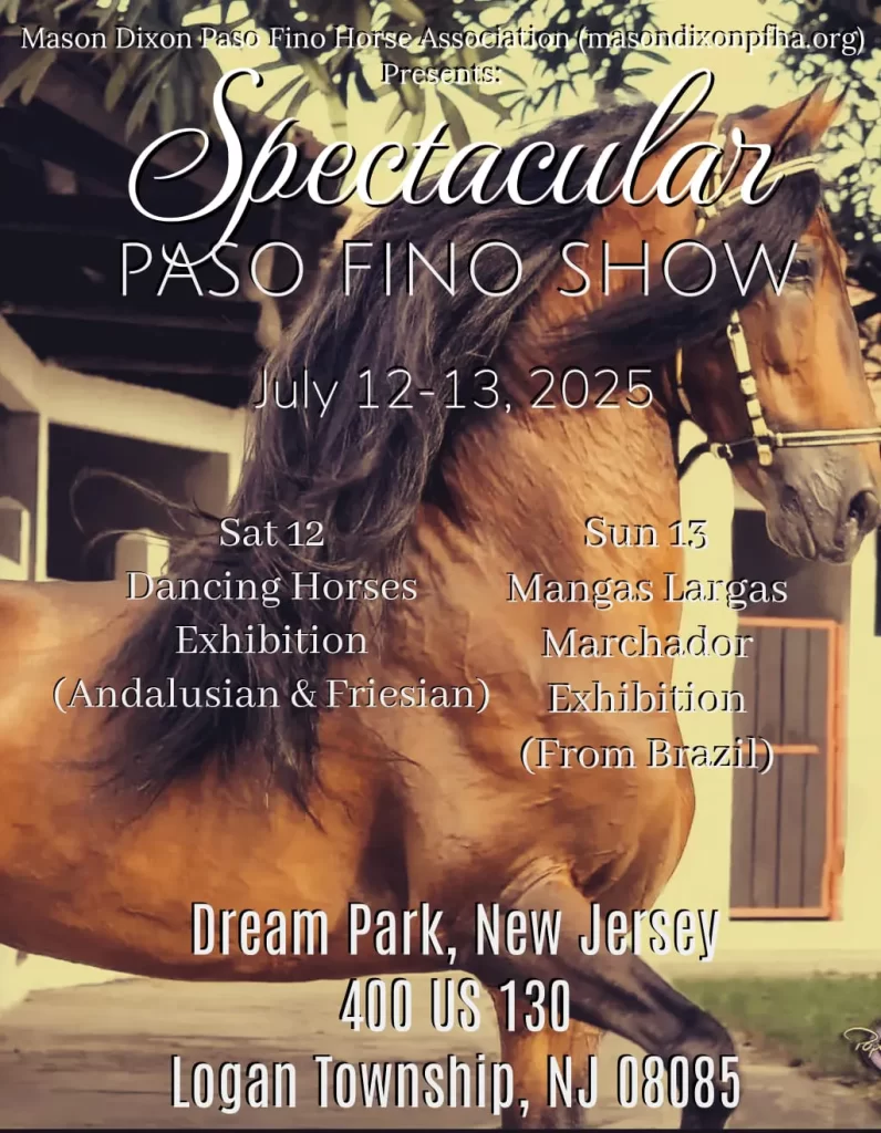 Spectacular 2025 Flyer