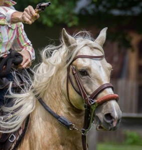 5843 641413009219942 1915013593 n  