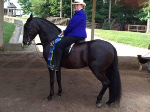 FB IMG 1435287079556