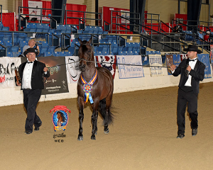 Nationals15BellaForma